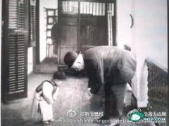 经典一瞬诠释医患关系